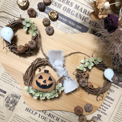 172bb43f8ebab61917d5554f421c49