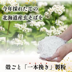 令和5年度 新そば 新蕎麦 出雲そば 4人前 ギフト【本生出雲そば】つゆ付 お取り寄せ グルメ 012-n 2枚目の画像