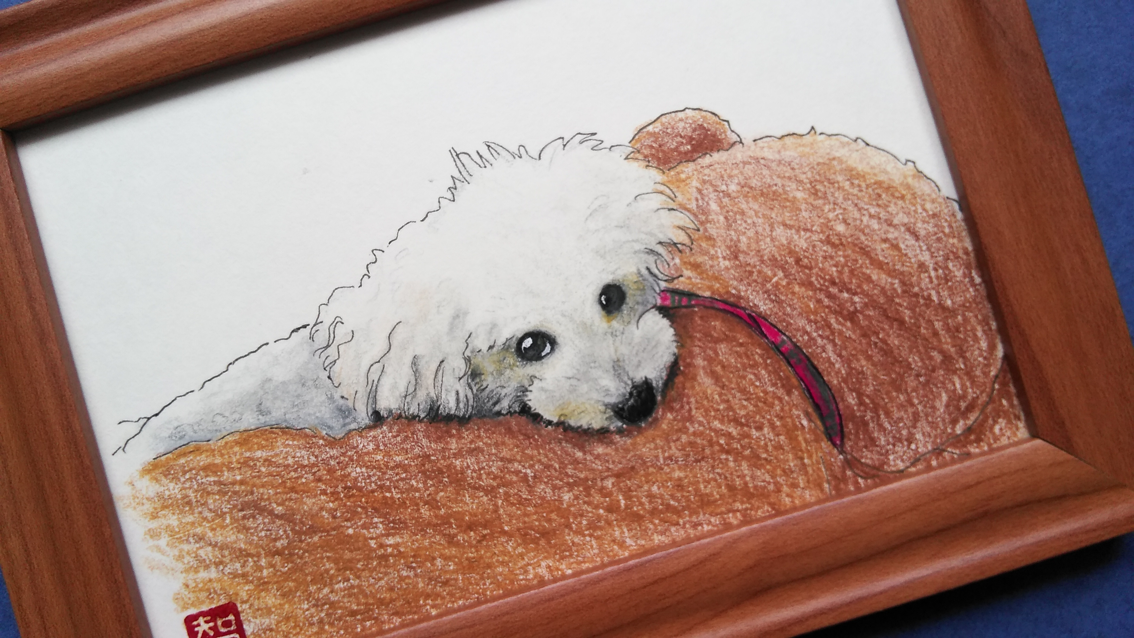 トイプードル白】すねてる表情のトイプードル 原画 額付き イラスト