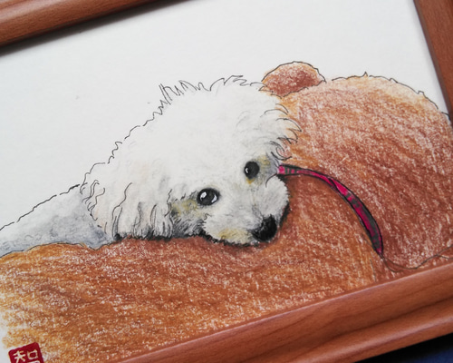 トイプードル白】すねてる表情のトイプードル 原画 額付き