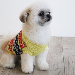 【受注生産】ノルディックセーター for Dogs SS～Mサイズ [編み物キット] 13枚目の画像