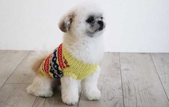 【受注生産】ノルディックセーター for Dogs SS～Mサイズ [編み物キット] 13枚目の画像