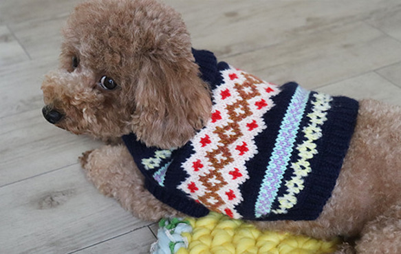 【受注生産】ノルディックセーター for Dogs SS～Mサイズ [編み物キット] 14枚目の画像