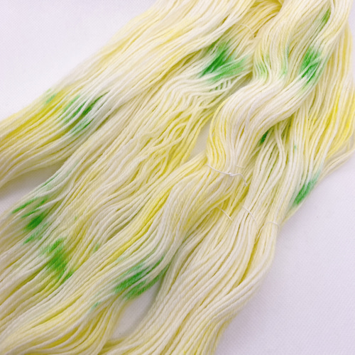 ミモザ 天然染料 50g