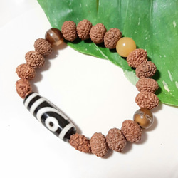 ルドラクシャ 4ムキ 6ムキ 7ムキ 8ムキ 菩提樹の実 ブレスレット