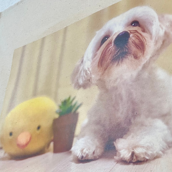 うちの子布カレンダー　オーダーメイドカレンダー　愛犬カレンダー　犬カレンダー　お正月　ペットプレゼント　 4枚目の画像