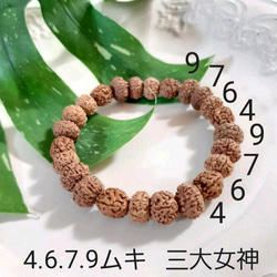 ルドラクシャ 4ムキ 6ムキ 7ムキ 8ムキ 菩提樹の実 ブレスレット