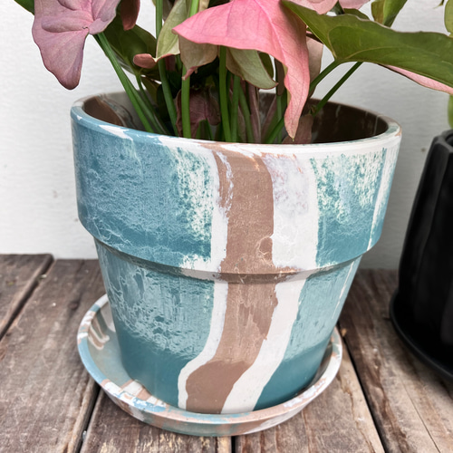 ピンクの葉が珍しい観葉植物＊シンゴニューム ネオン＊格好良い