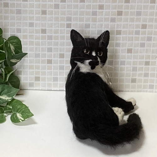 サンプルページ 見上げるポーズ ハチワレ ブチ 白黒 猫ちゃん
