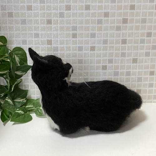 サンプルページ 見上げるポーズ ハチワレ ブチ 白黒 猫ちゃん