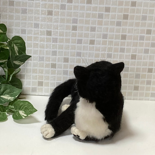 サンプルページ 見上げるポーズ ハチワレ ブチ 白黒 猫ちゃん 羊毛