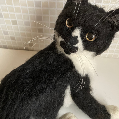 サンプルページ 見上げるポーズ ハチワレ ブチ 白黒 猫ちゃん 羊毛