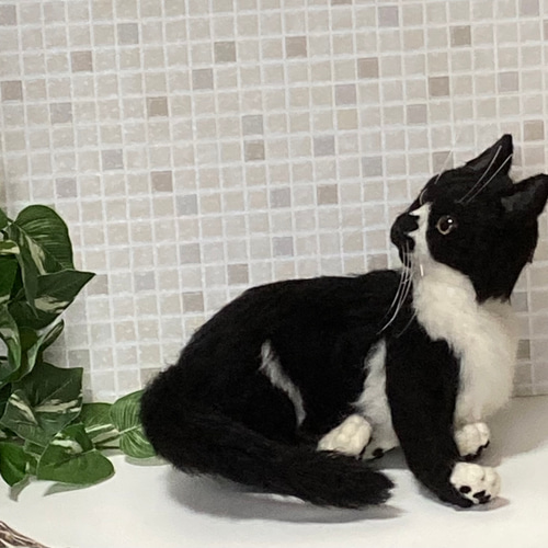 受注 ハチワレ 黒白 羊毛フェルト ペットロス 受注 ハチワレ 黒白 羊毛フェルト ペットロス - miaの羊毛