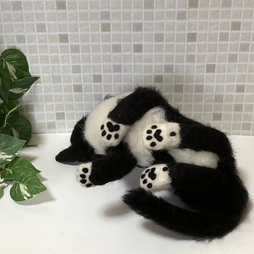 サンプルページ 見上げるポーズ ハチワレ ブチ 白黒 猫ちゃん