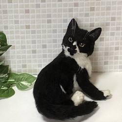 白黒ねこ 羊毛フェルト 白黒ハチワレのフレーム猫 《植毛》 羊毛フェルト 羊毛フェルト猫 しろ