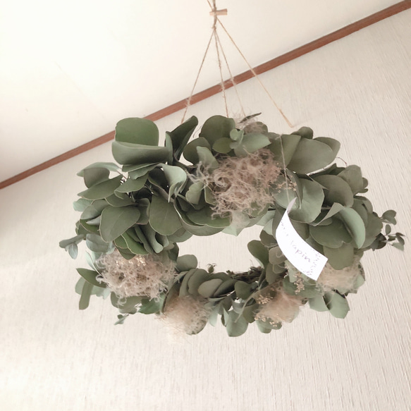 期間限定】6月の旬のお花、スモークツリーとユーカリの 期間限定】6月の旬のお花、スモークツリーとユーカリの