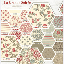 新作入荷！『Moda モダ　 La Grand Soiree　　くすんだ薄茶×小花柄』～50㎝単位でカット～ 3枚目の画像