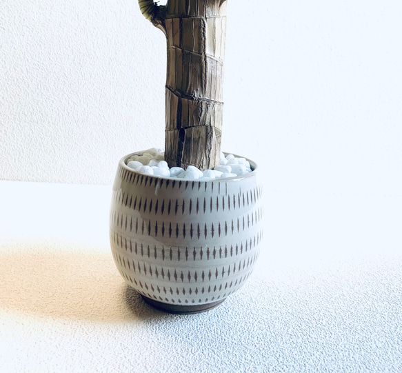 ハイドロカルチャー　ドラセナ　マッサン　ゲアナ　幸福の木　小石原焼　飛びかんな　陶器　観葉植物 10枚目の画像
