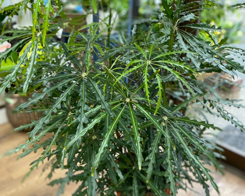 0c9651ffa688e10c15767972a01765