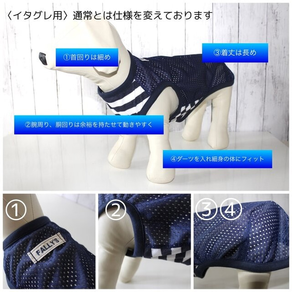 犬服 ペット服 春 冬 チェック スカート イタグレ コーギー フレブル ダックス 大型犬 中型犬 小型犬 ハンドメイド 13枚目の画像