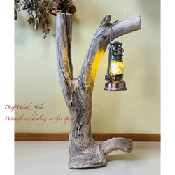 流木インテリア 自然の造形が美しい流木スタンド ランタンやエアプラントを飾れる置物 北欧 照明 木材 癒し 自然 1枚目の画像