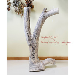 流木インテリア 自然の造形が美しい流木スタンド ランタンやエアプラントを飾れる置物 北欧 照明 木材 癒し 自然 6枚目の画像