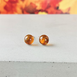 たまきち◆希少✧バルティックアンバーピアス✧14kgf たまきち様専用◇希少✧バルティックアンバーピアス✧14kgf