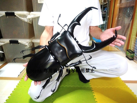 パラワンオオヒラタ 超大型 MEGA リアルフィギュア 立体・オブジェ