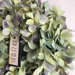 送料無料！秋色紫陽花のドライフラワーリース　※フォロワー様限定キャンペーン 5枚目の画像