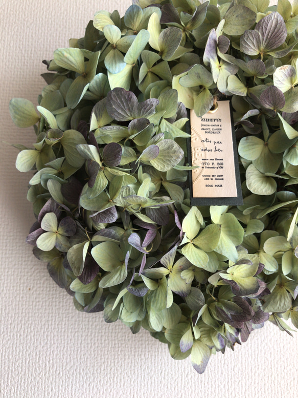 送料無料！秋色紫陽花のドライフラワーリース　※フォロワー様限定キャンペーン 6枚目の画像