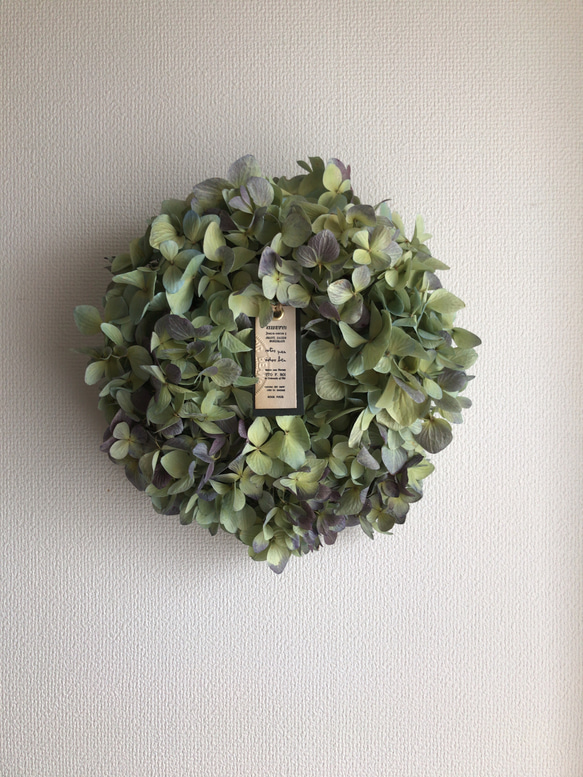 送料無料！秋色紫陽花のドライフラワーリース　※フォロワー様限定キャンペーン 1枚目の画像