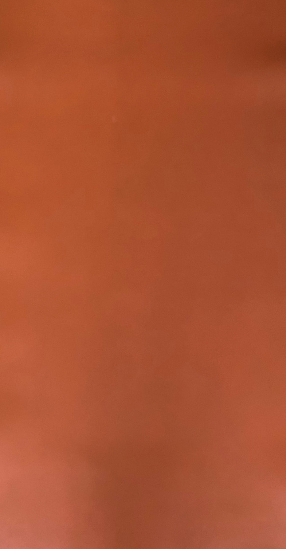 フランス産ヤギ革 オレンジ 約10cm×約10cm 2枚目の画像