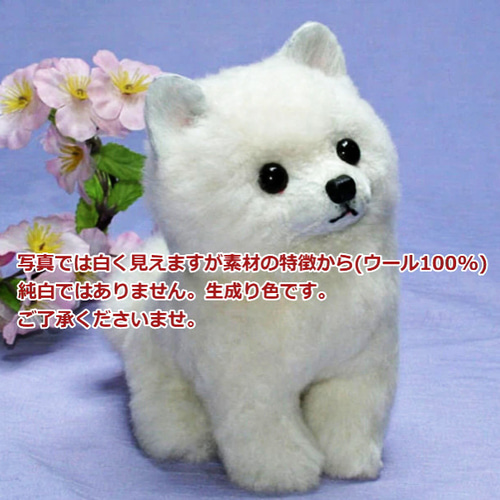 トイプードル　ホワイト　テディベア　ぬいぐるみ 8b2046d7780fbad50b9f7dc0a83122