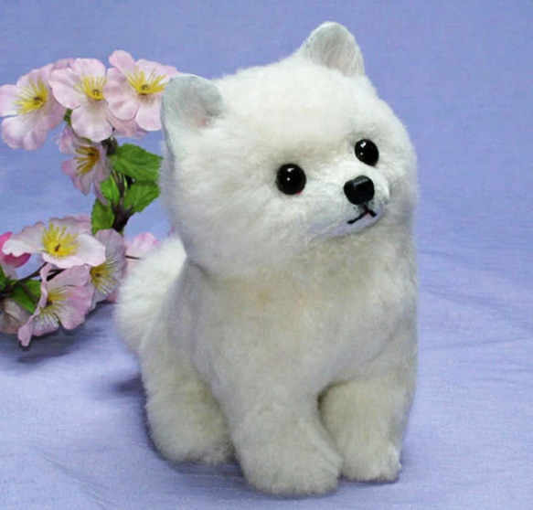 白子犬・ベージュの子犬・ぬいぐるみ　テディベア 羊毛フエルト製品ではない　ギフト品にも　【再販・受注制作】 9枚目の画像
