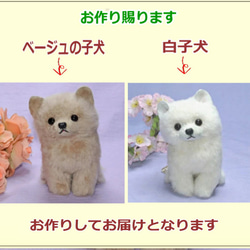 白子犬・ベージュの子犬・ぬいぐるみ　テディベア 羊毛フエルト製品ではない　ギフト品にも　【再販・受注制作】 5枚目の画像