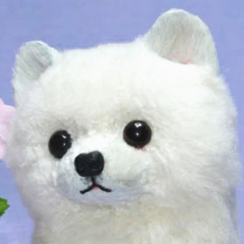 犬の日 2023 白子犬 犬 ぬいぐるみ 羊毛フエルト製品ではない ギフト品