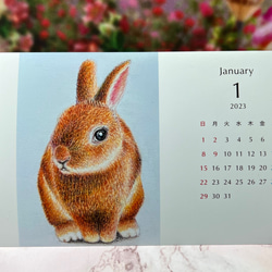 2023年うさぎや動物達のカレンダー　卓上カレンダーPart2ポストカード1枚プレゼント付き(お選びください♪)特別価格 2枚目の画像