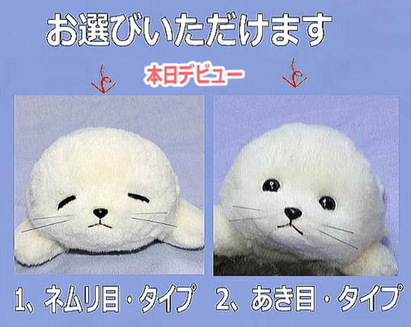 アザラシの赤ちゃんアザラシの赤ちゃん・ぬいぐるみ　羊毛フエルト製品ではない　ギフト品にも　【再販・受注制作】 14枚目の画像