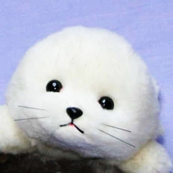 アザラシの赤ちゃん・ぬいぐるみ 羊毛フエルト製品ではない