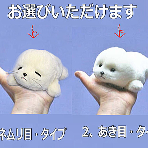 アザラシの赤ちゃん・ぬいぐるみ 羊毛フエルト製品ではない ギフト品に