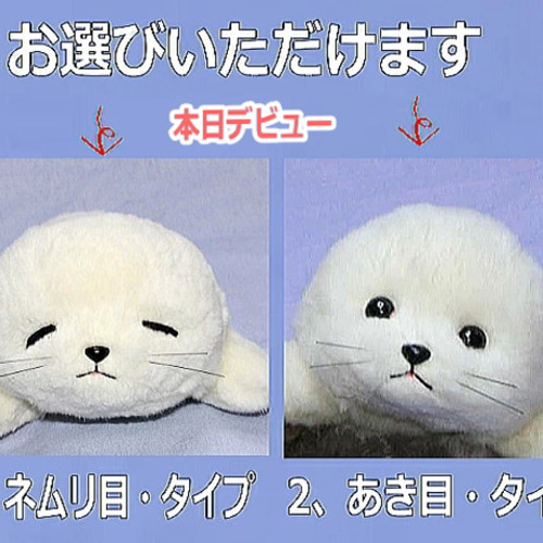 アザラシの赤ちゃん・ぬいぐるみ 羊毛フエルト製品ではない ギフト品に