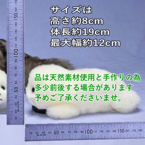 アザラシの赤ちゃん・ぬいぐるみ 羊毛フエルト製品ではない ギフト品に