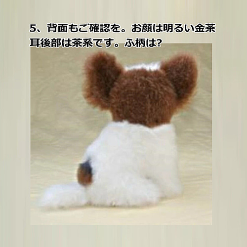 パピヨン ぬいぐるみ 羊毛フエルト製品でない ギフト オーダー