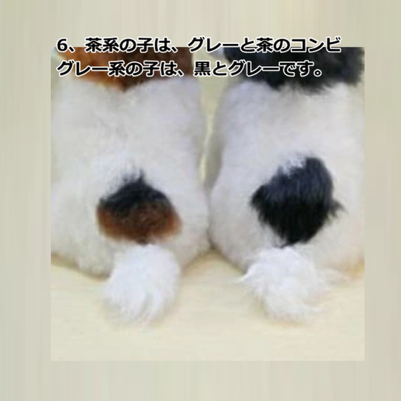 パピヨン ぬいぐるみ　羊毛フエルト製品でない　ギフト オーダーメイド 『羊毛フェルトの絵本』麒麟にのったカッパ君 U1332629451(10250円)