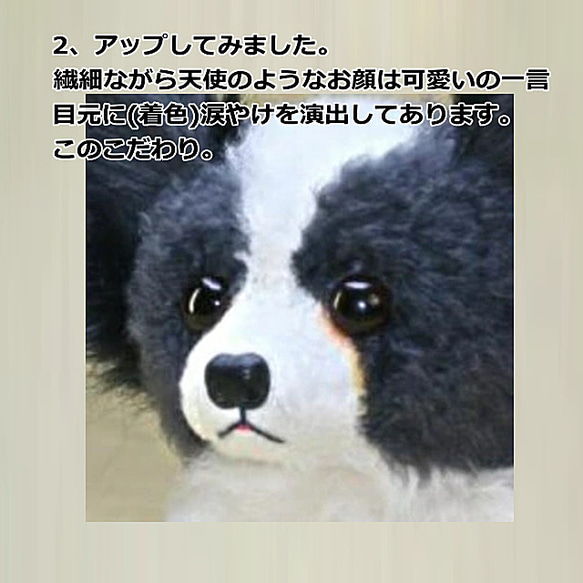 犬の日 2023 パピヨン・ぬいぐるみ　羊毛フエルト製品ではない　ギフト品にも　【再販・受注制作】 6枚目の画像