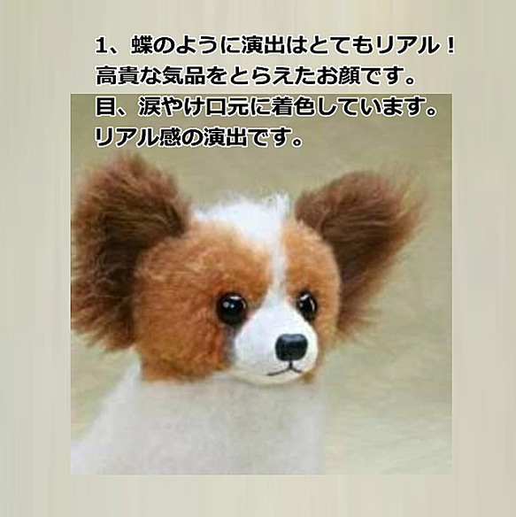 犬の日 2023 パピヨン・ぬいぐるみ　羊毛フエルト製品ではない　ギフト品にも　【再販・受注制作】 5枚目の画像