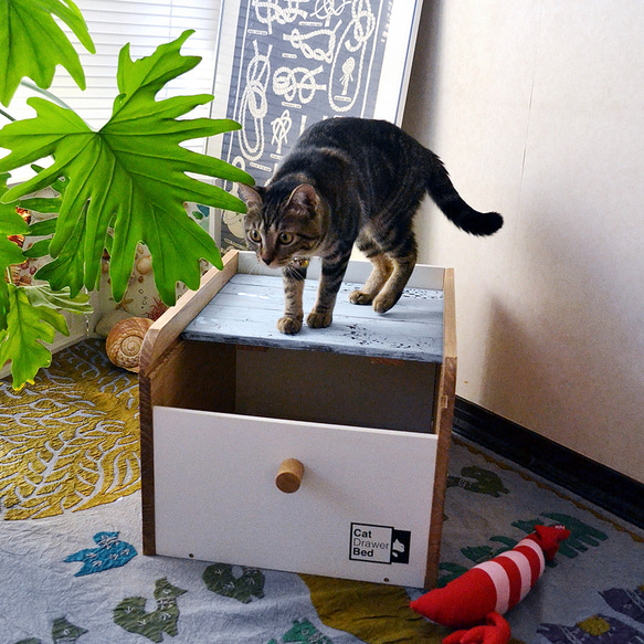 【アカシアバージョン】引き出さないタンスベッド「Cat Drawer Bed（キャットドロワーベッド）」 10枚目の画像