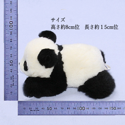 パンダ ぬいぐるみ。リアルムートンで制作まで６ヶ月で届きました。 Realistic Panda plushies | Free Shipping