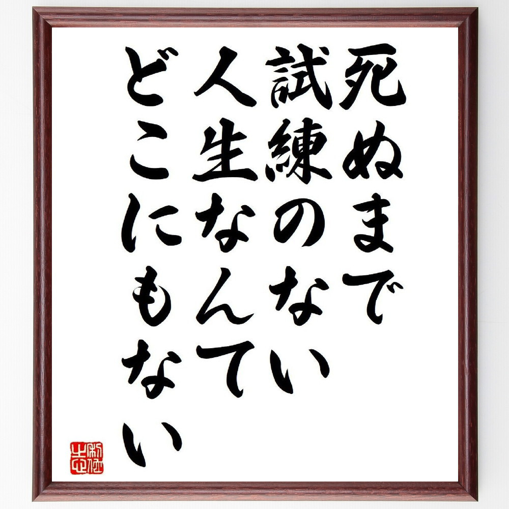 名言「死ぬまで試練のない人生なんて、どこにもない」手書き書道色紙額／受注後の毛筆直筆（Y7314）
