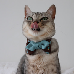 チョコミントアイスかストロベリーアイスの刺繍が可愛い猫さんの首輪 8枚目の画像